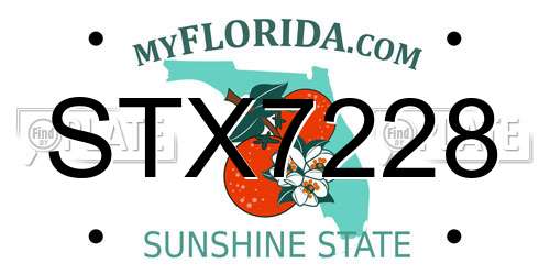 STX7228 Florida License Plate