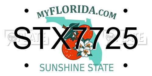 STX7725 Florida License Plate