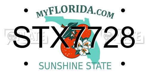 STX7728 Florida License Plate