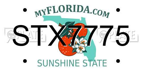 STX7775 Florida License Plate