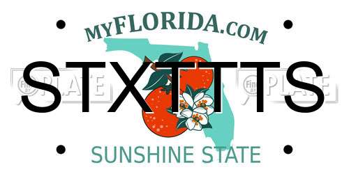 STXTTTS Florida License Plate