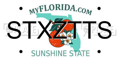 STXZTTS Florida License Plate