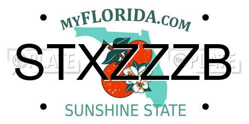 STXZZZB Florida License Plate