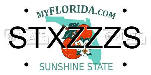 STXZZZS Florida License Plate