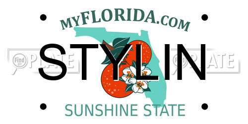 STYLIN Florida License Plate