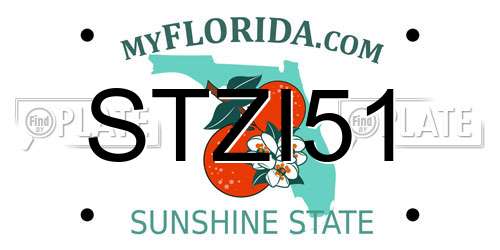 STZI51 Florida License Plate