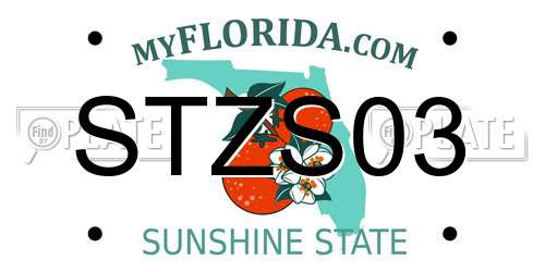 STZS03 Florida License Plate