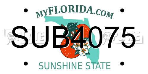 SUB4075 Florida License Plate