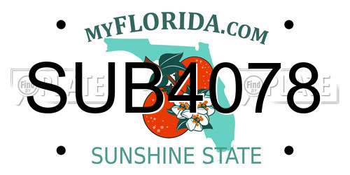 SUB4078 Florida License Plate