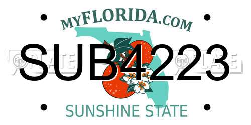 SUB4223 Florida License Plate