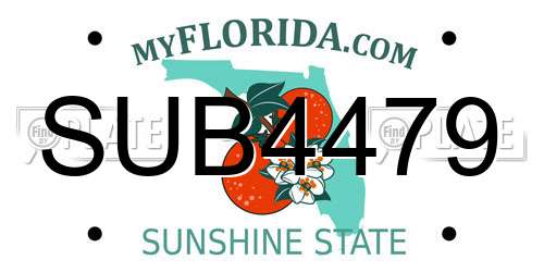 SUB4479 Florida License Plate