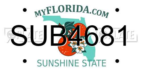 SUB4681 Florida License Plate