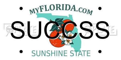 SUCCSS Florida License Plate
