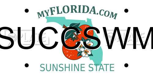 SUCCSWM Florida License Plate
