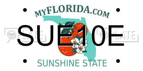 SUE10E Florida License Plate