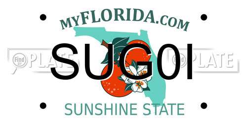 SUG0I Florida License Plate