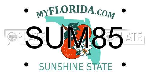 SUM85 Florida License Plate