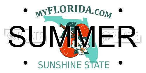 SUMMER Florida License Plate