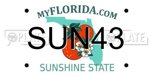 SUN43 Florida License Plate