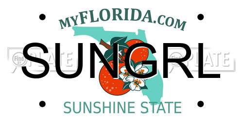 SUNGRL Florida License Plate