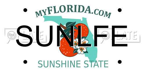 SUNLFE Florida License Plate