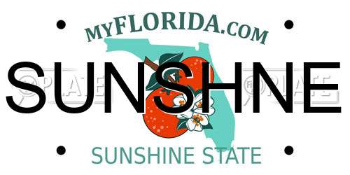 SUNSHNE Florida License Plate