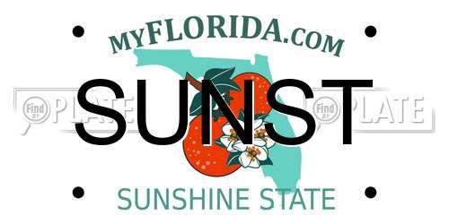 SUNST Florida License Plate