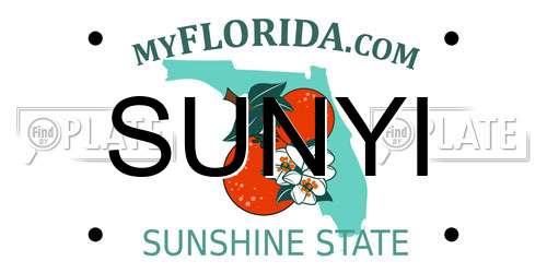 SUNYI Florida License Plate