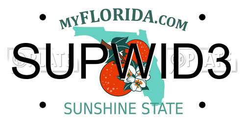 SUPWID3 Florida License Plate