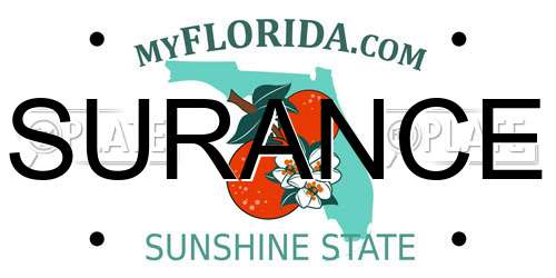 SURANCE Florida License Plate
