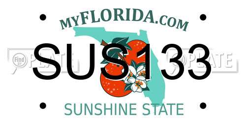 SUS133 Florida License Plate