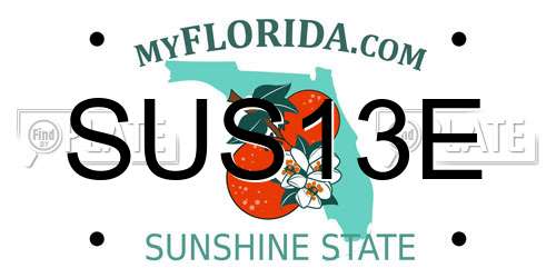 SUS13E Florida License Plate