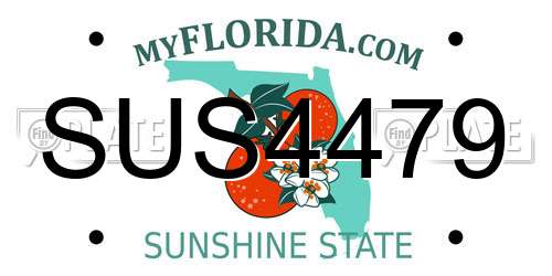 SUS4479 Florida License Plate