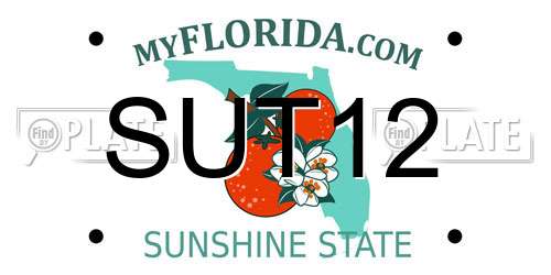SUT12 Florida License Plate