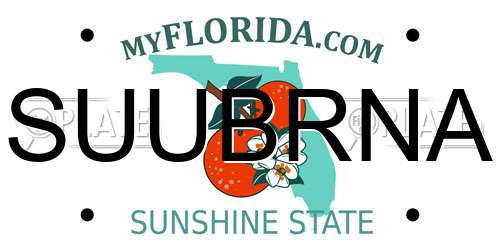 SUUBRNA Florida License Plate