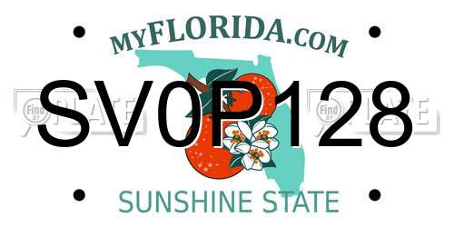 SV0P128 Florida License Plate