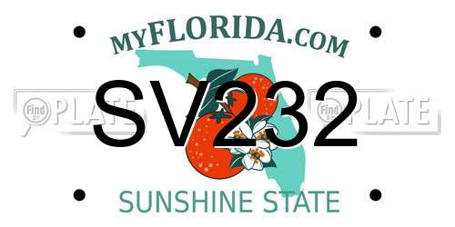 SV232 Florida License Plate