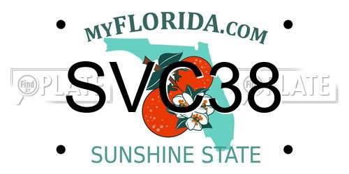 SVC38 Florida License Plate