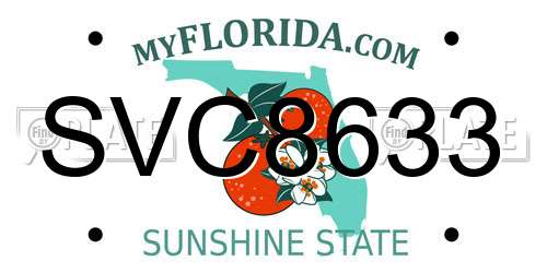 SVC8633 Florida License Plate