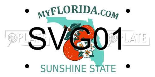 SVG01 Florida License Plate