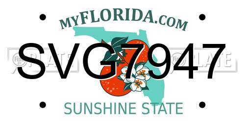 SVG7947 Florida License Plate