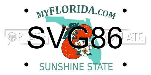 SVG86 Florida License Plate