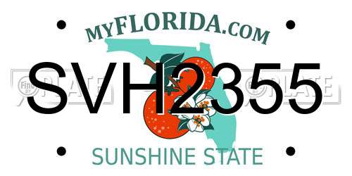 SVH2355 Florida License Plate