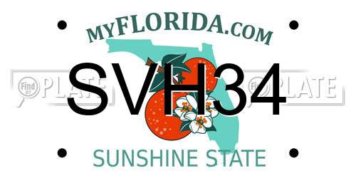 SVH34 Florida License Plate