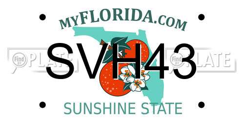 SVH43 Florida License Plate