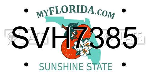 SVH7385 Florida License Plate