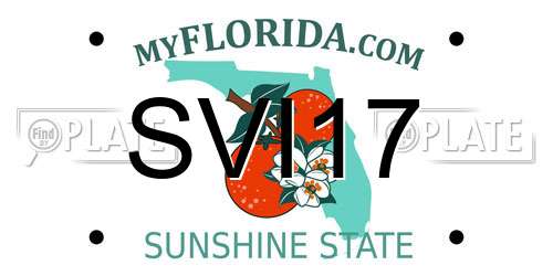 SVI17 Florida License Plate