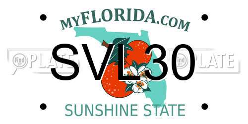 SVL30 Florida License Plate