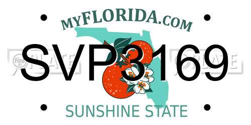 SVP3169 Florida License Plate
