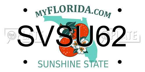 SVSU62 Florida License Plate